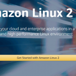 Amazon Linux 2 が出たので VMware ESXi で動かしてみる